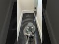 Granite Polishing #naturalpolish #stone #naturalpolish #colourfulstones
