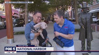 FOX 5 Zip Trip National Harbor Finale: Morning smiles!