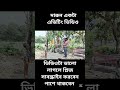 মজার একটা এডিটিং ভিডিও #funny #comedymovies #comedymove #bollywoodcomedymovies #bolgvideo #bollywoo