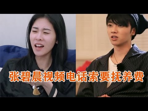 张碧晨打电话问华晨宇要抚养费，华晨宇说出一句，暴露两人关系