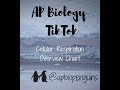 AP Bio TikTok: Cellular Respiration Overview Chart