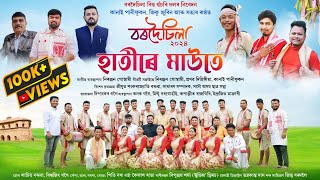 বৰদচল-২০২৪ হতৰ মউত Bardoisila Husori Dol Bihu-2024 New Assamese Bihu Song 2024