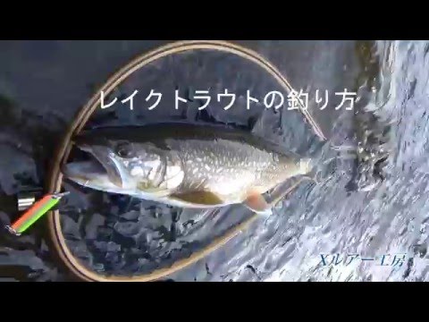 レイクトラウトの釣り方動画 リトリーブ 巻き 編 中禅寺湖のルアーフィシング Youtube