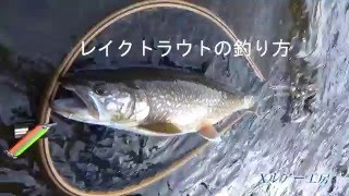 レイクトラウトの釣り方動画 リトリーブ 巻き 編 中禅寺湖のルアーフィシング Youtube