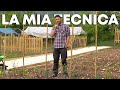 Come COLTIVO i POMODORI al podere