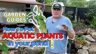 How To Plant Pond Plants In Your Pond!  Garden Guides