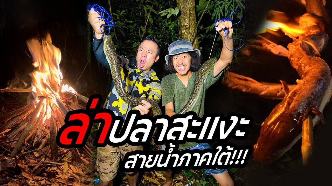 ล่าปลาสะแงะสายน้ำภาคใต้ !!! [หัวครัวทัวร์ริ่ง] EP.152
