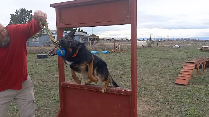 Let's Play Radio - CQ WW Dx Contest QRP - Part 1 2022