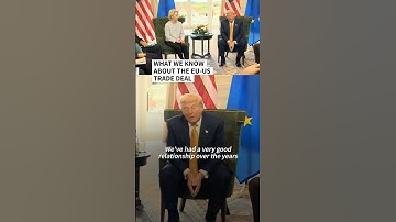 What we know about the EU-US trade deal | AFP #shorts