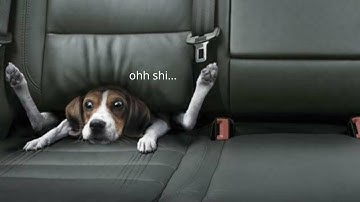 Random Videos i Watch Instead of sleeping | Funny videos #1