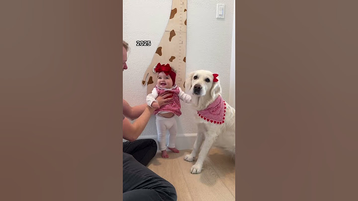 Watch our Baby grow up with our Dog!