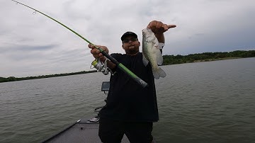 Catching Aggressive Post Spawn Crappie #fishing #2024 #acccrappiestix