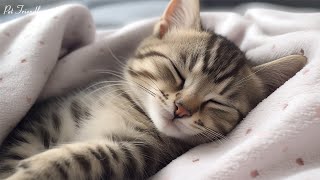 Fall Into Sleep Instantly ? Calming Sleep Music For Cat | Stress Relief, Insomnia Healing