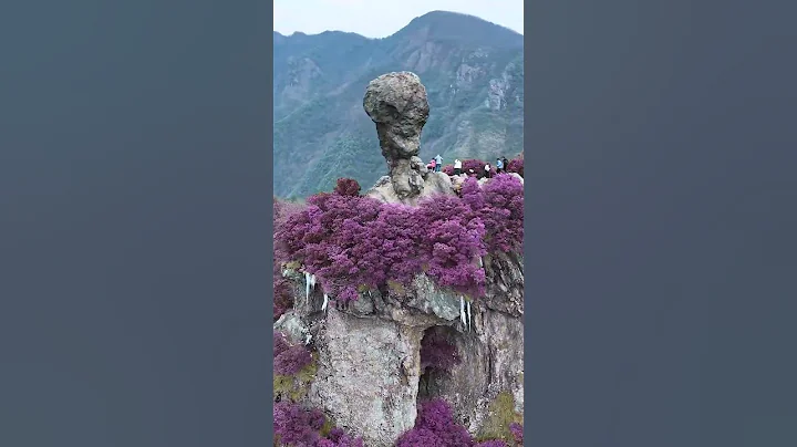 Beautiful stones in Wuhan, Hubei Province#Shorts - DayDayNews