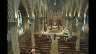 Twelfth Sunday in Ordinary Time