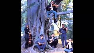 Penguin Cafe Orchestra - Air à danser (live version)