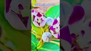 #funny #freefiregame #love #song #freefiremusic #automobile #sadcoversong #freefiresong #sad #comedy