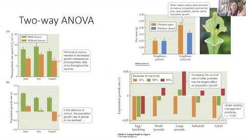 Ecology Stats Connections