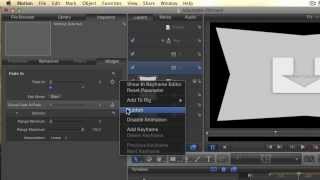 Motion INs and OUTs - Publishing Effects for FCPX
