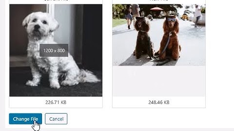 Replace WordPress Media Library Files