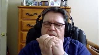 House of the Rising Sun - Harmonica Cover Version