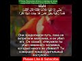 Сура Аль-Кахф 18:74 | Чтение Корана с русским переводом| Quran Translation Surah Al-Kahf  الكهف