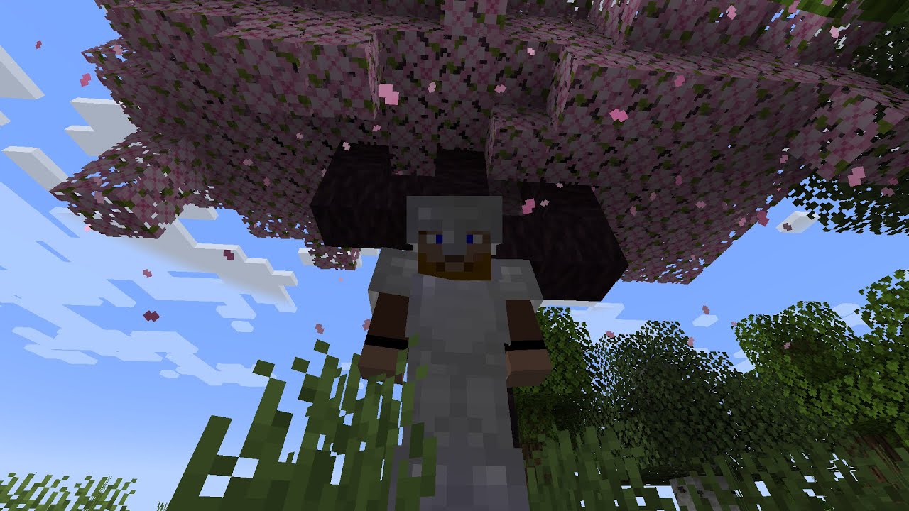 Minecraft Lets Play Episode 2 - Part 2 - YouTube