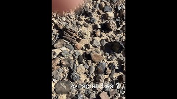 Needles in a Haystack