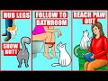 10 Odd Cat Behaviors Explained