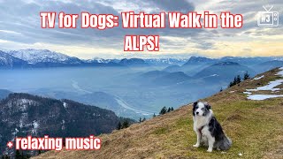 4K Dog TV: Dog POV Mountain Walk, Enhanced Color for Dog Vision, AntiAnxiety RELAXING MUSIC