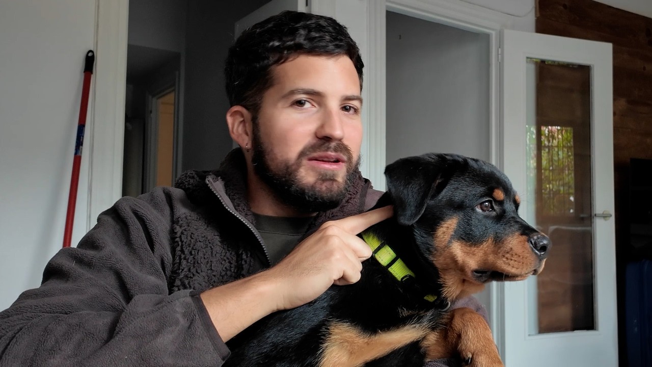 Si estás tristón, este vídeo es para ti