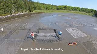 How to farm soft-shell clams screenshot 5