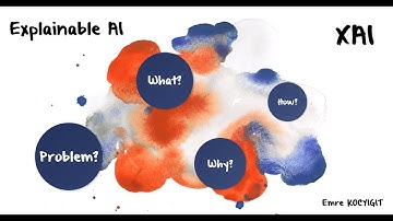 Explainable AI - XAI : A Summary