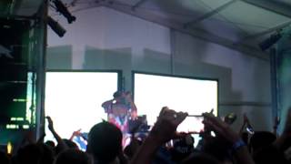 Zebra Katz Tauron 2013