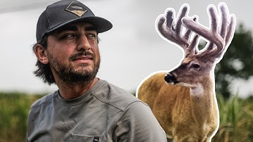 Start to Finish FOOD PLOTS Changes On THE NEW FARM