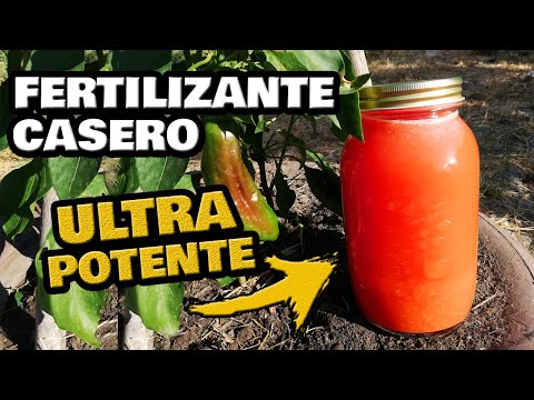 Fertilizante CASERO ¡ULTRA POTENTE! Más Frutos y Más Flores || Abono Casero para Plantas y Cítricos