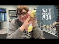 Wolle und wald podcast 34