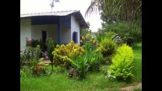 4th Day- Visiting the Soybean farms at Novo Mutum – Brazil