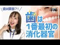 【前編】歯は臓器！絶対抜いちゃダメ！虫歯＆歯周病とは