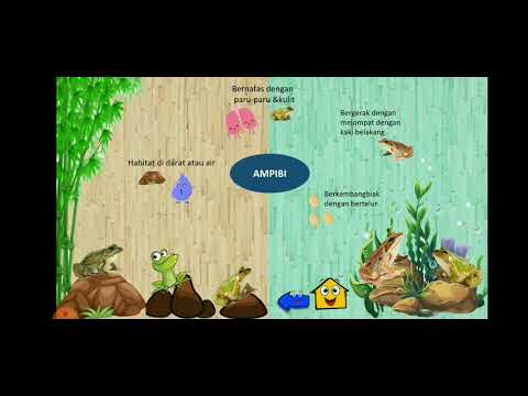 IPA Kelas 5  Hewan  Vertebrata  dan  Invertebrata YouTube