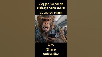 Bandar Ne Tiger Ko Bulaya 😂🤣 | Viral Monkey Vlog | Monkey | Tiger | #vloggerbandar #viralmonkey