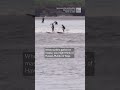 Surfers flock to tidal wave in … United Kingdom?