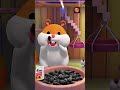 hamtaro