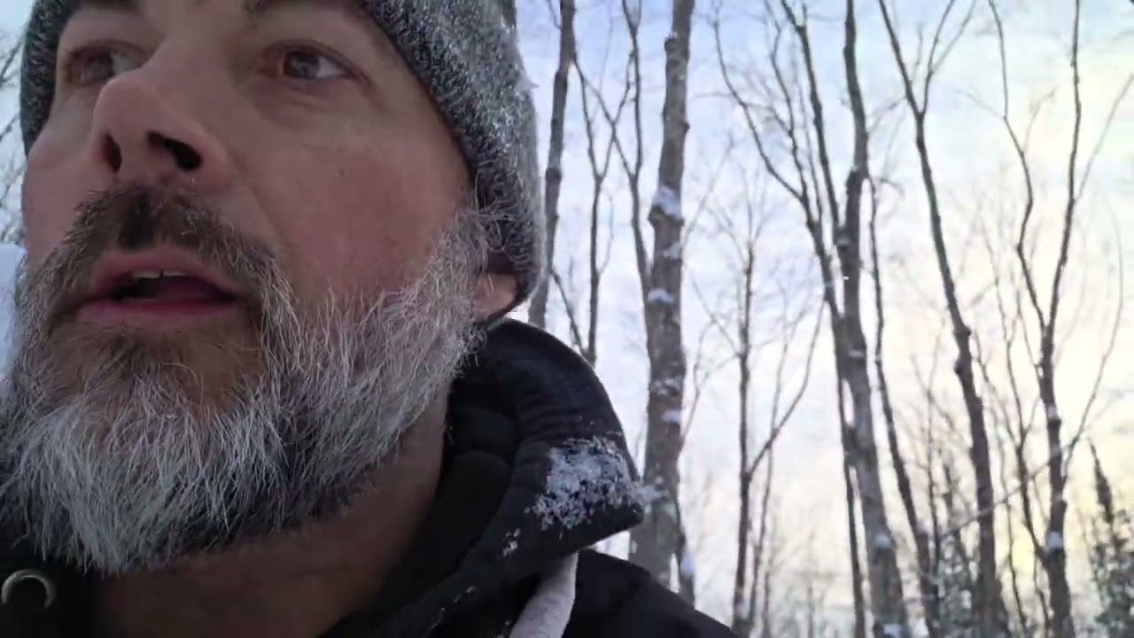 Basic solar set up for off grid. 