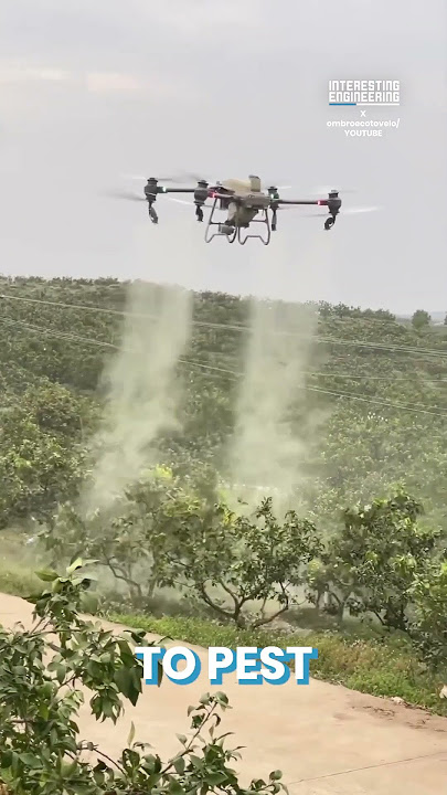 Are Agricultural Drones Really the Future of Farming?