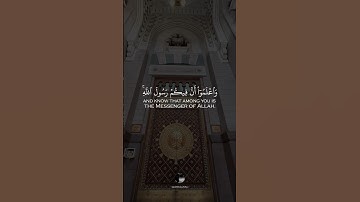 ( واعلموا أن فيكم رسول الله ۚ لو يطيعكم في كثير من الأمر لعنتم ) || بصوت القارئ احمد خضر
