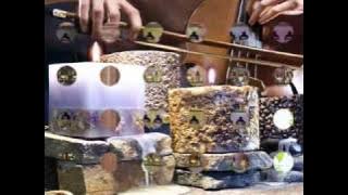 REFAN .wmv