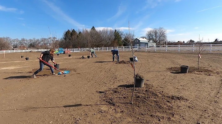 We Planted an Orchard! 🍎🍑🍐 // Garden Answer - DayDayNews