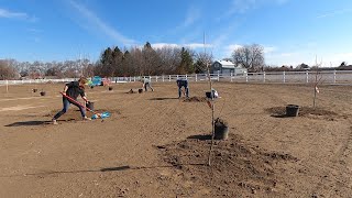 We Planted an Orchard! 🍎🍑🍐 // Garden Answer