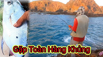 VUONG LT VLOG | câu cá biển | hòn sẹo Nhơn Lý cá hiếu _cá chang khủng